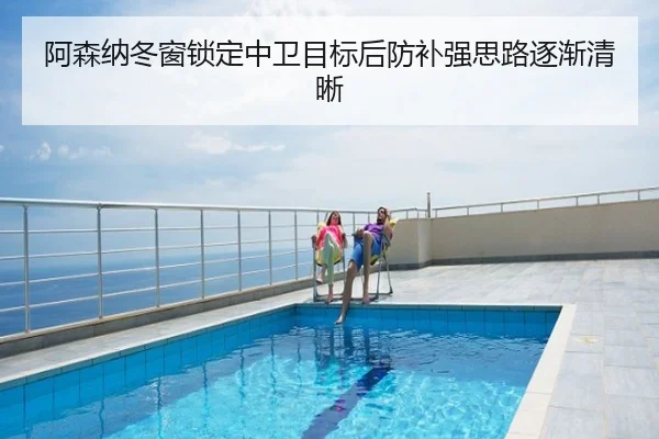 阿森纳冬窗锁定中卫目标后防补强思路逐渐清晰