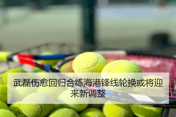 武磊伤愈回归合练海港锋线轮换或将迎来新调整