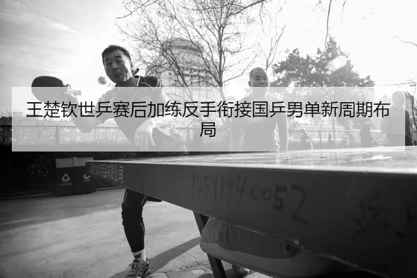王楚钦世乒赛后加练反手衔接国乒男单新周期布局